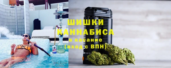 спайс Гусев