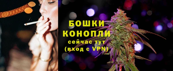 спайс Гусев