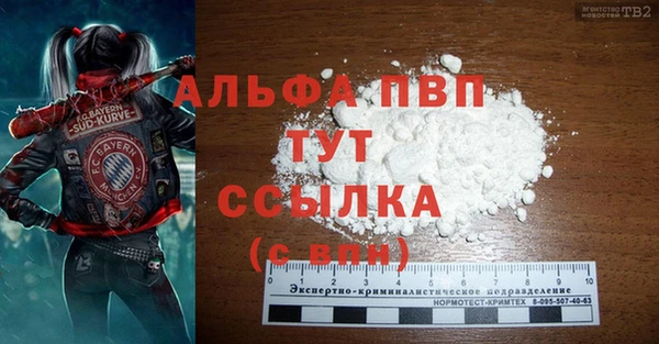 спайс Гусев