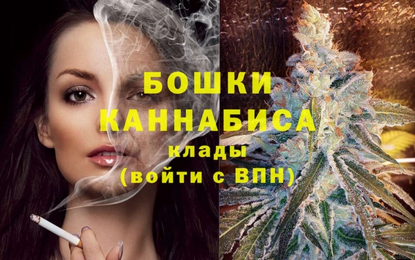 твердый Гусиноозёрск