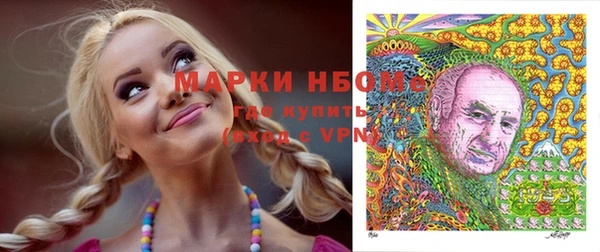 спайс Гусев