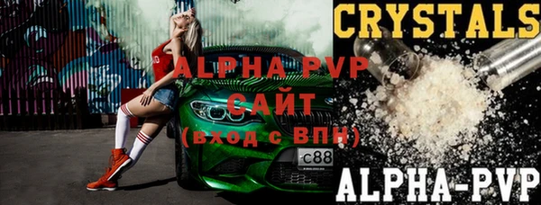 спайс Гусев