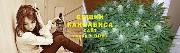 спайс Гусев